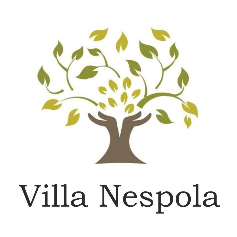Villa Nespola Цавтат Экстерьер фото
